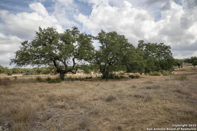 Image 37 of 45 For 227 Mitchell Dr