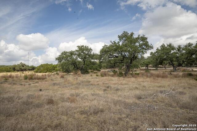 Image 38 of 45 For 227 Mitchell Dr