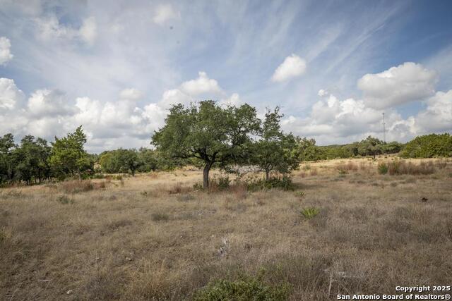 Image 39 of 45 For 227 Mitchell Dr