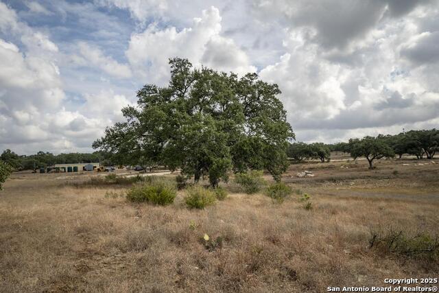 Image 40 of 45 For 227 Mitchell Dr