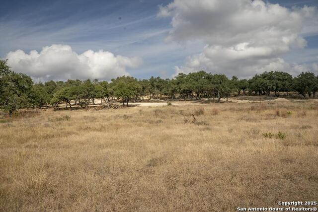 Image 41 of 45 For 227 Mitchell Dr