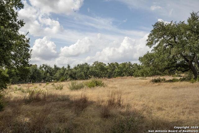 Image 43 of 45 For 227 Mitchell Dr