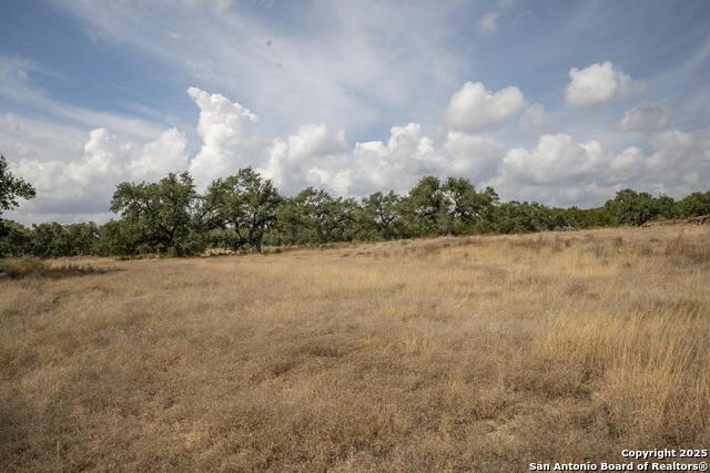 Image 44 of 45 For 227 Mitchell Dr