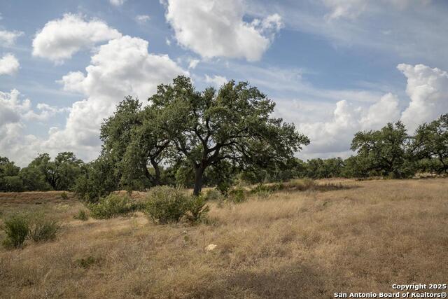 Image 45 of 45 For 227 Mitchell Dr