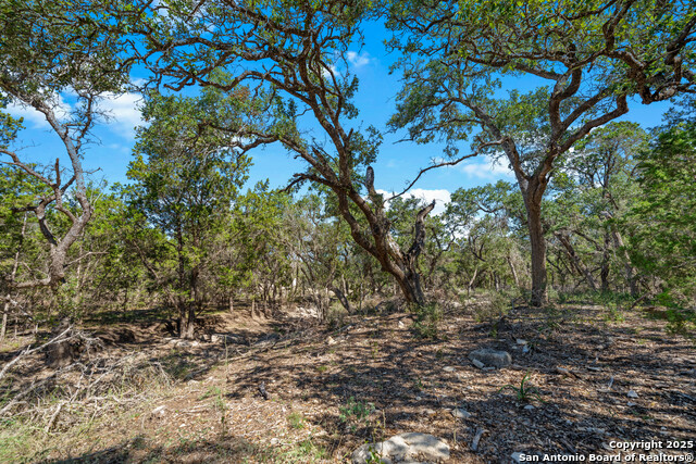 Image 10 of 24 For 34720 Ansley Ridge