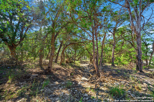 Image 11 of 24 For 34720 Ansley Ridge