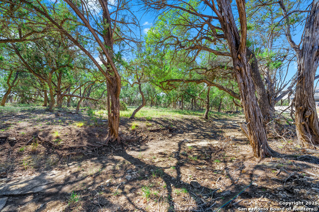 Image 12 of 24 For 34720 Ansley Ridge