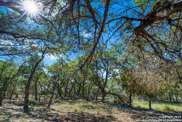 Image 14 of 24 For 34720 Ansley Ridge