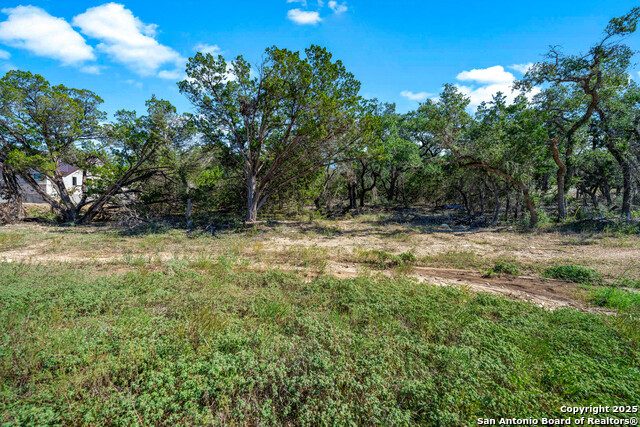 Image 16 of 24 For 34720 Ansley Ridge