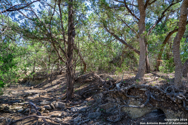 Image 6 of 24 For 34720 Ansley Ridge