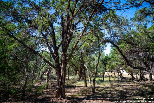 Image 7 of 24 For 34720 Ansley Ridge