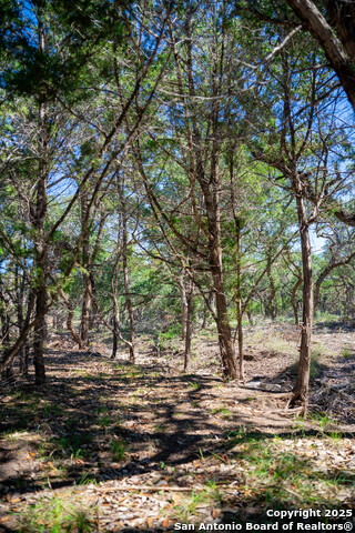 Image 8 of 24 For 34720 Ansley Ridge