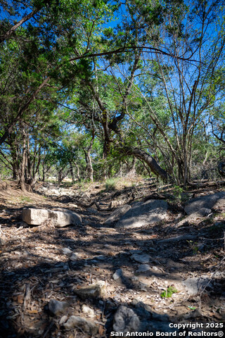 Image 9 of 24 For 34720 Ansley Ridge