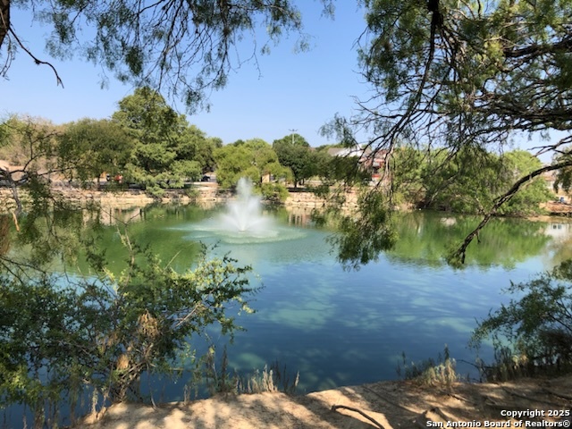 Image 40 of 41 For 1314 Bitterlake