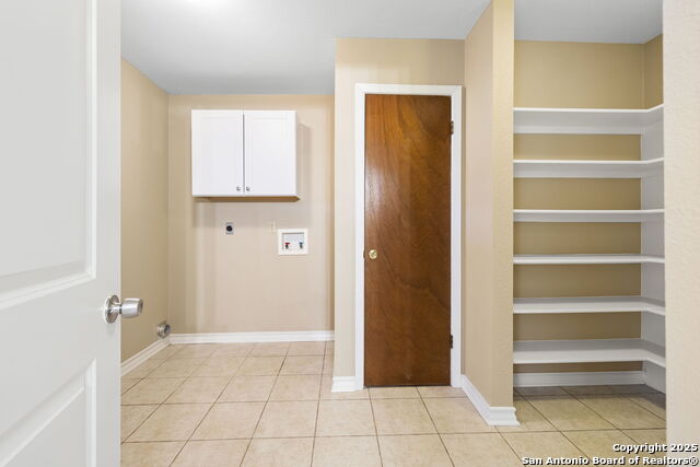 Image 14 of 33 For 31919 Jay Bird