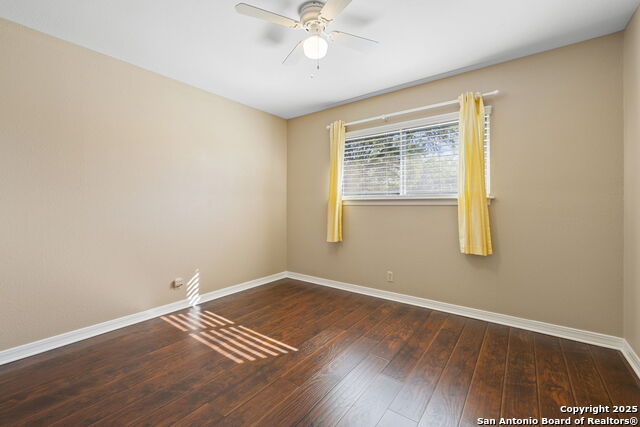 Image 17 of 33 For 31919 Jay Bird