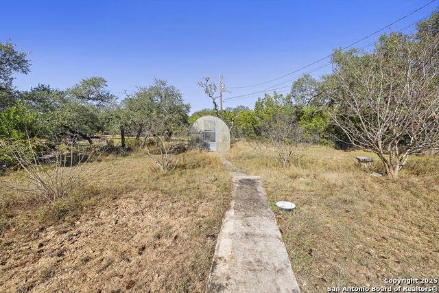 Image 25 of 33 For 31919 Jay Bird