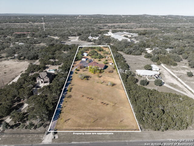 Image 26 of 33 For 31919 Jay Bird