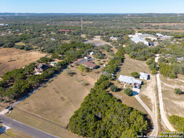 Image 27 of 33 For 31919 Jay Bird