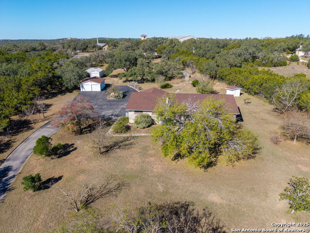 Image 28 of 33 For 31919 Jay Bird