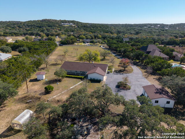 Image 29 of 33 For 31919 Jay Bird