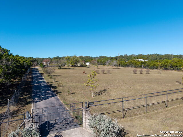 Image 31 of 33 For 31919 Jay Bird