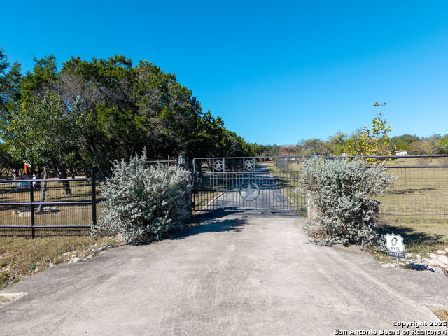 Image 32 of 33 For 31919 Jay Bird