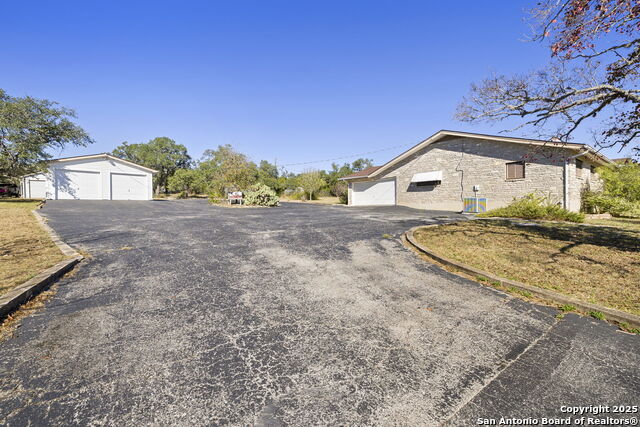 Image 4 of 33 For 31919 Jay Bird