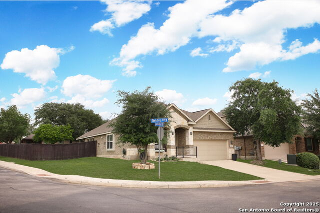 Image 3 of 39 For 15143 Gelding