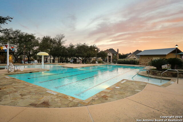 Image 32 of 39 For 15143 Gelding