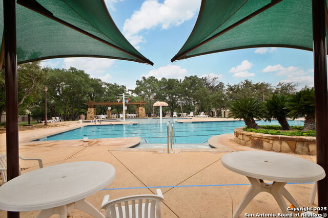 Image 38 of 39 For 15143 Gelding