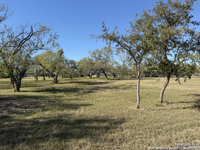 Image 2 of 7 For 150 Tomahawk