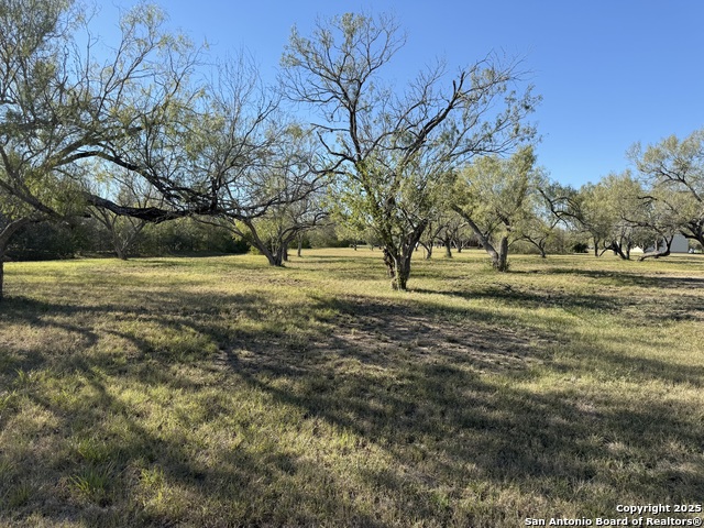 Image 7 of 7 For 150 Tomahawk