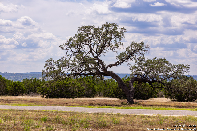 Image 12 of 37 For 192 Dark Sky Path