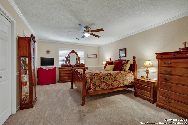 Image 17 of 39 For 1631 Cattail