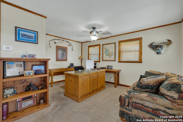 Image 22 of 39 For 1631 Cattail