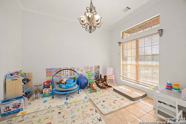 Image 17 of 48 For 166 Bridle