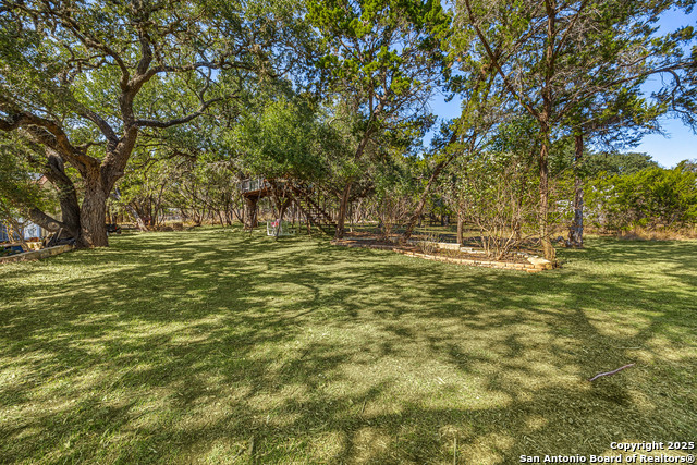 Image 36 of 48 For 166 Bridle