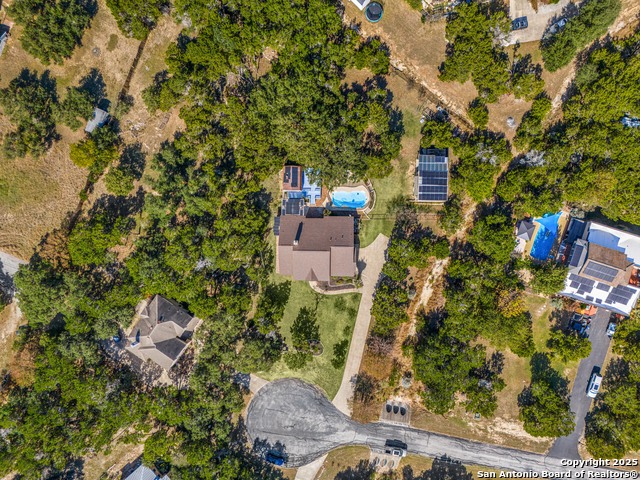 Image 45 of 48 For 166 Bridle