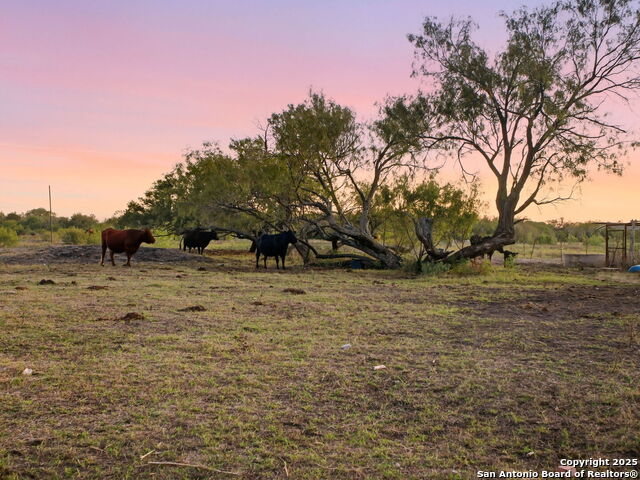 Listing photo id 10 for 3311 Freudenburg