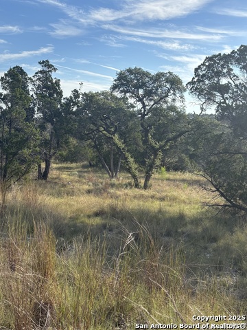 Image 4 of 4 For 378 Cloudveil