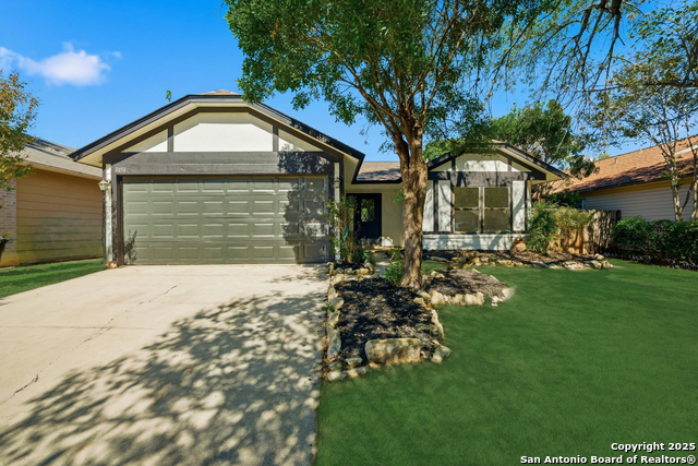 Details for 9151 Tree Village, San Antonio, TX 78250