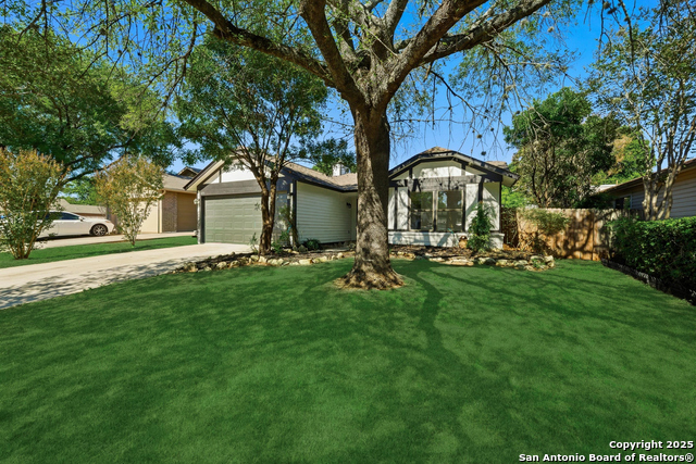 Listing photo id 2 for 9151 Tree Village