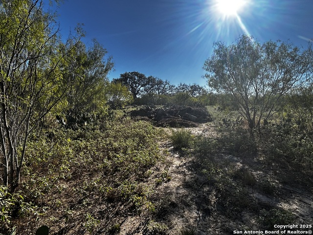 Details for Tbd County Road 777, Devine, TX 78016