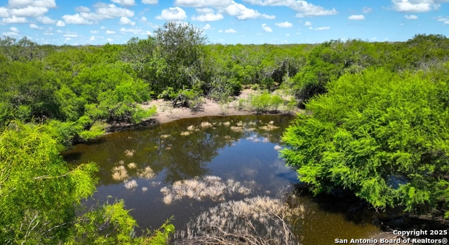 Image 2 of 7 For 000 Cr 342  