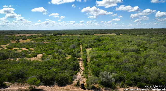 Image 3 of 7 For 000 Cr 342  