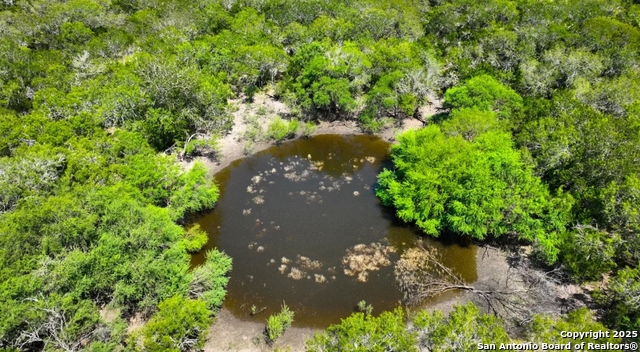 Image 5 of 7 For 000 Cr 342  