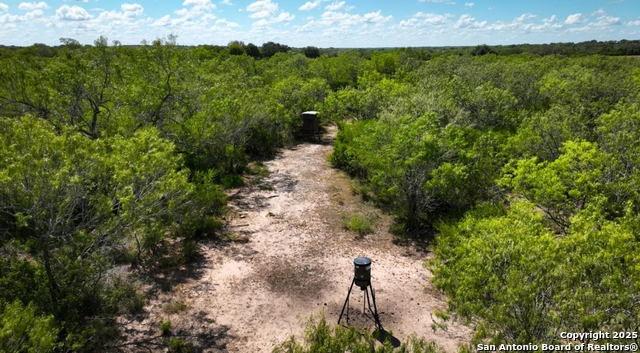 Image 6 of 7 For 000 Cr 342  