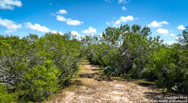 Image 7 of 7 For 000 Cr 342  