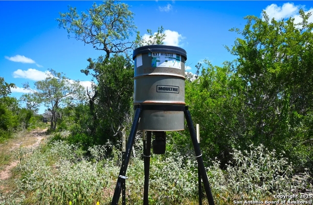 Image 4 of 5 For 000 Cr 342